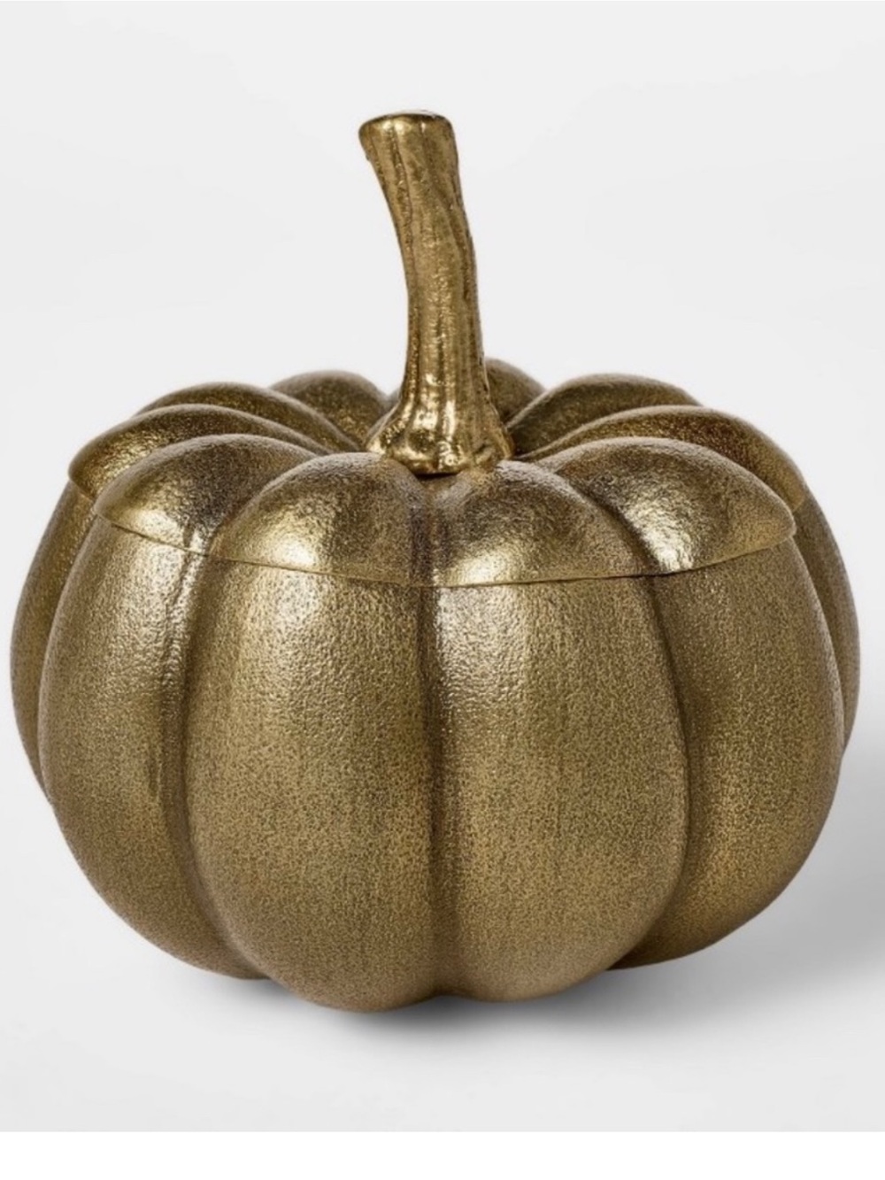 Threshold Studio McGee Cast Metal Pumpkin Canister w/ Lid Gold